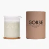 Gorse Candle