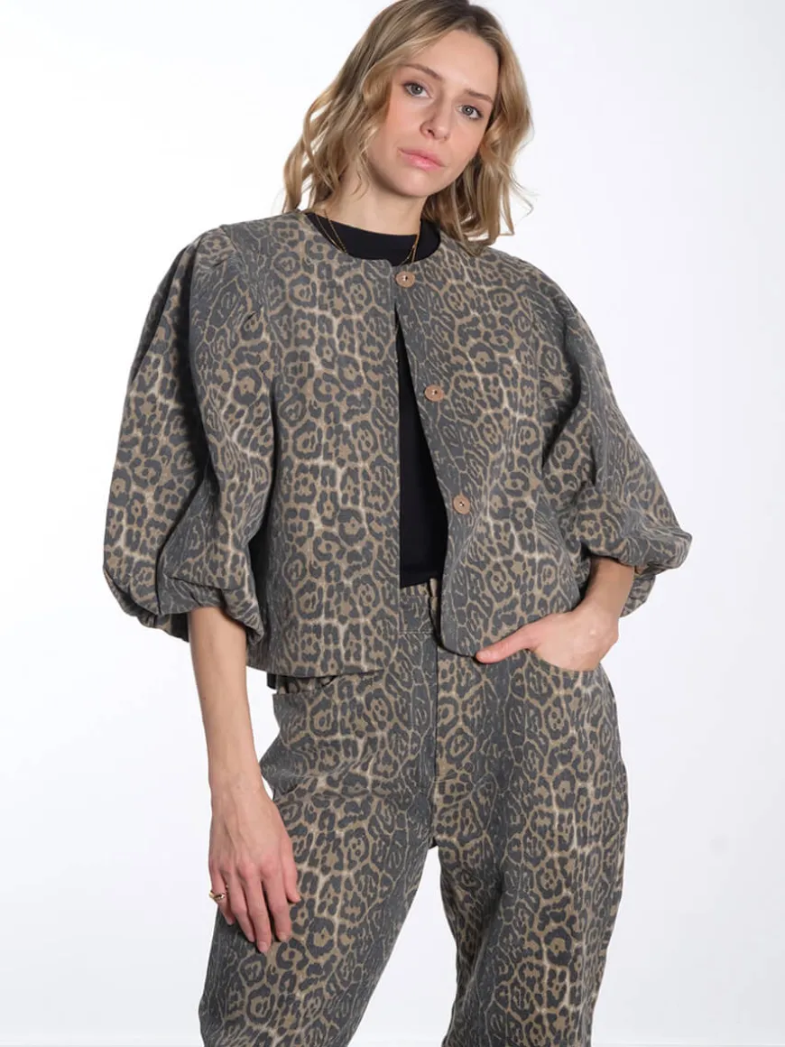 MSRana Pants